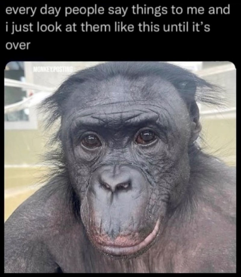every day people say things to me and i just look at them like this until it's over MONKEY POSTING