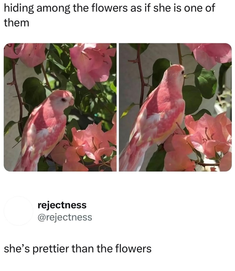 hiding among the flowers as if she is one of them rejectness @rejectness she's prettier than the flowers