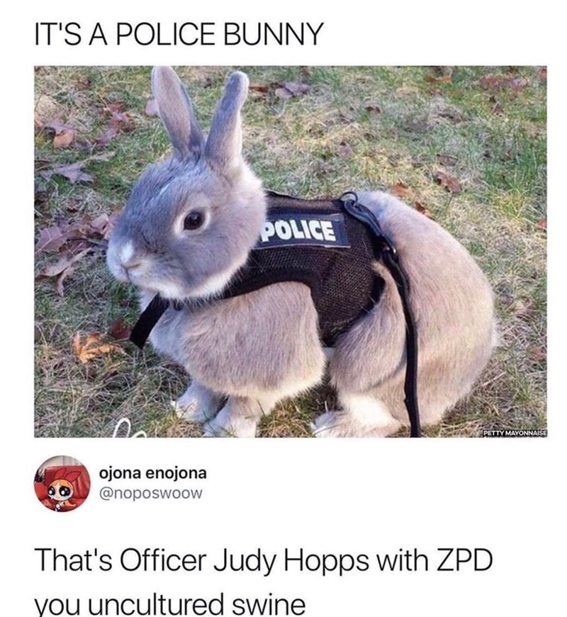 IT'S A POLICE BUNNY ojona enojona @noposwoow POLICE PETTY MAYONNAISE That's Officer Judy Hopps with ZPD you uncultured swine