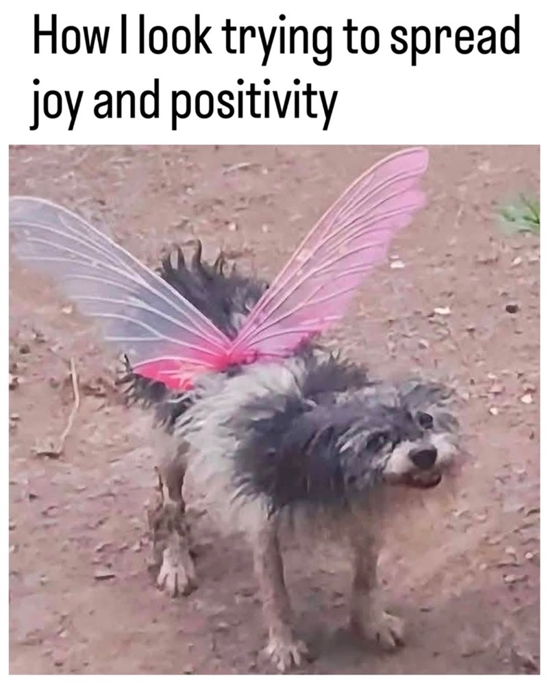 How I look trying to spread joy and positivity