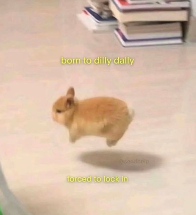 born to dilly dally @sendhelp forced to lock in
