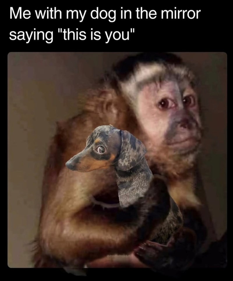 Me with my dog in the mirror saying "this is you"