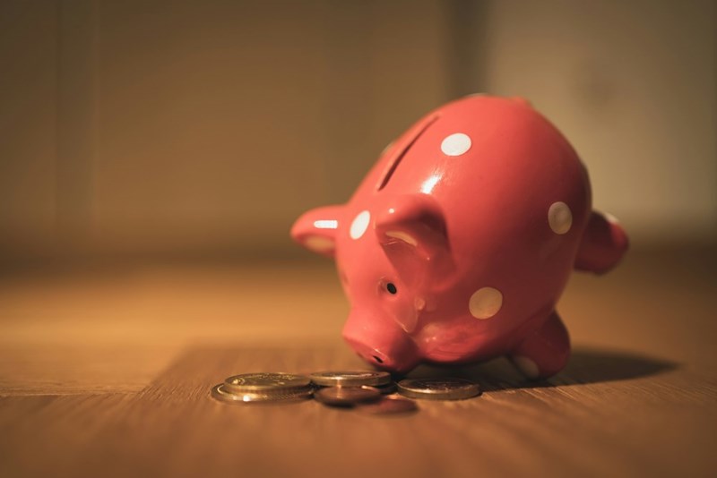 pink pig coin bank
