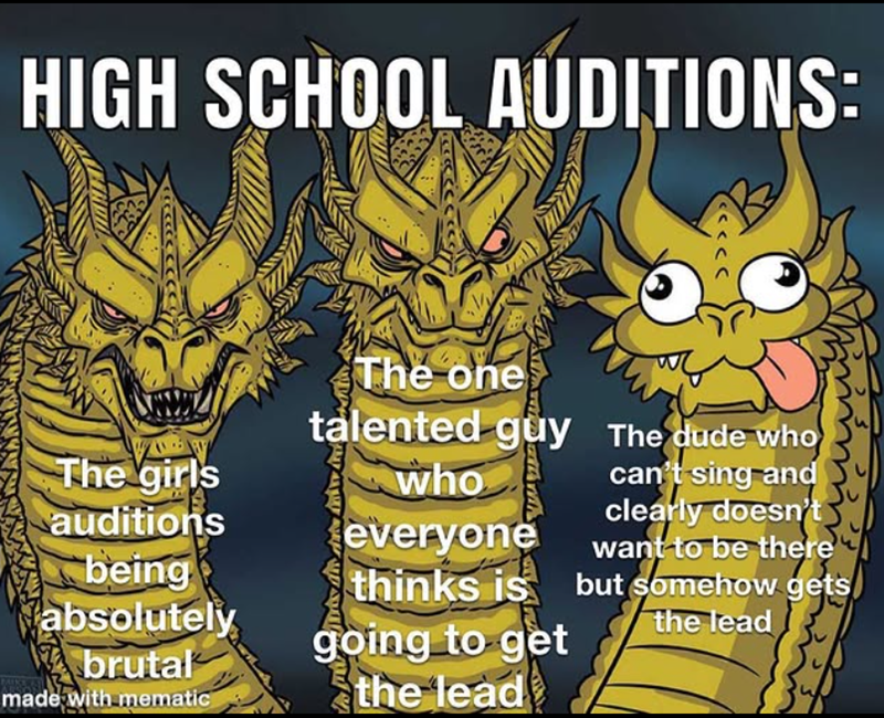 HIGH SCHOOL AUDITIONS: talented guy The girls auditions being absolutely brutal made with mematic going to get the lead The one who everyone The dude who can't sing and clearly doesn'ty want to be there thinks is but somehow gets the lead