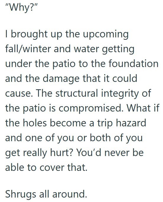 "Why?" I brought up the upcoming fall/winter and water getting under the patio to the foundation and the damage that it could cause. The structural integrity of the patio is compromised. What if the holes become a trip hazard and one of you or both of you get really hurt? You'd never be able to cover that. Shrugs all around.