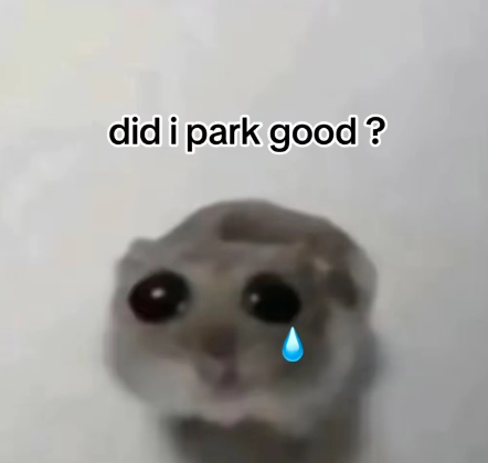 did i park good?