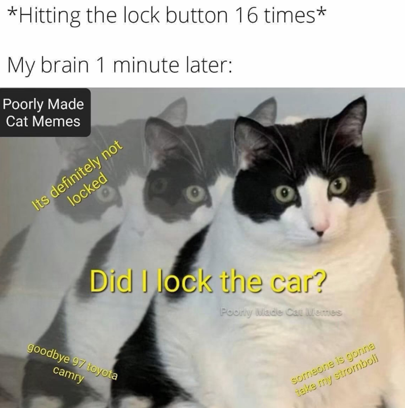 *Hitting the lock button 16 times* My brain 1 minute later: Poorly Made Cat Memes Its definitely not locked Did I lock the car? Poorly Made Cat Memes someone is gonna take my stromboli goodbye 97 toyota camry