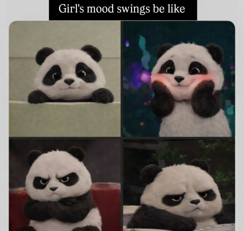 Girl's mood swings be like