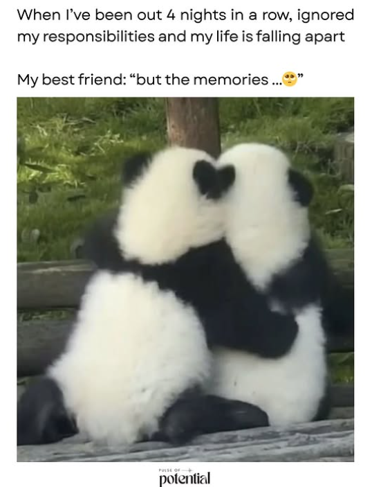 When I've been out 4 nights in a row, ignored my responsibilities and my life is falling apart My best friend: "but the memories... PULSE OF+ potential