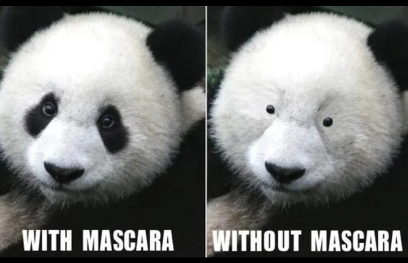 WITH MASCARA WITHOUT MASCARA