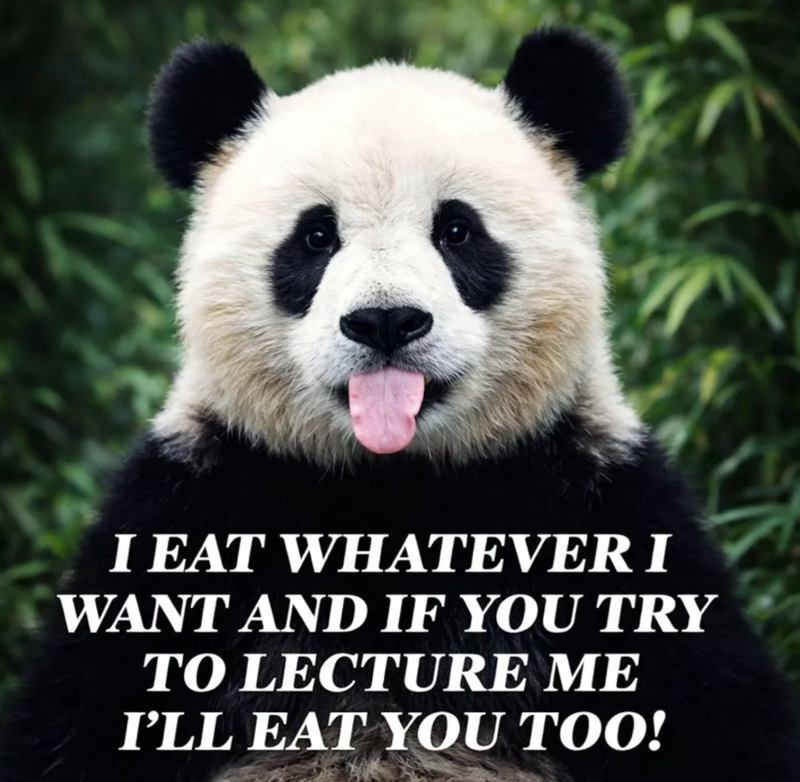 I EAT WHATEVERI WANT AND IF YOU TRY TO LECTURE ME I'LL EAT YOU TOO!