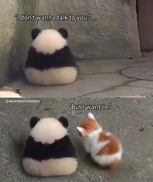 "I don't wanna talk to you." @sky.knowsnodistance "But I want to."
