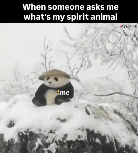When someone asks me what's my spirit animal *me nyxphiile