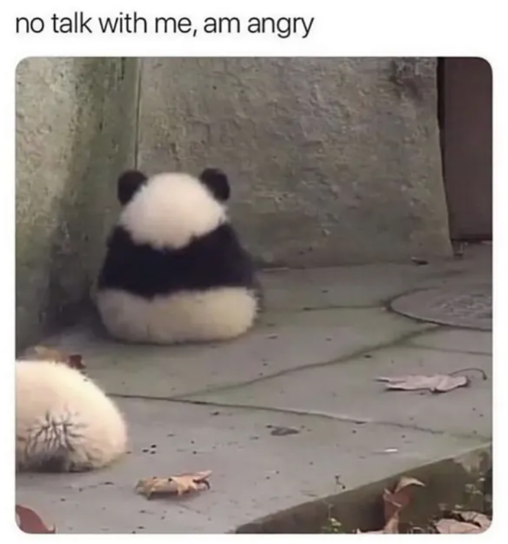 no talk with me, am angry