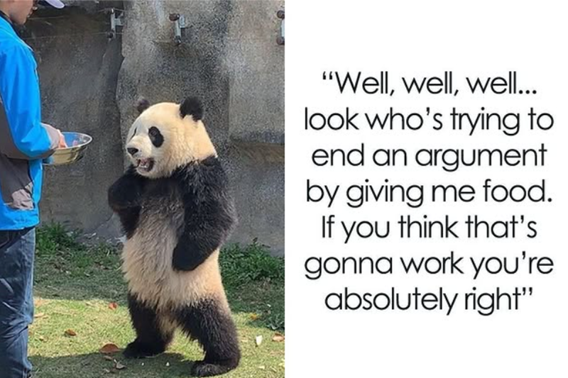 "Well, well, well... look who's trying to end an argument by giving me food. If you think that's gonna work you're absolutely right"