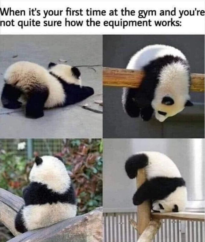 When it's your first time at the gym and you're not quite sure how the equipment works: