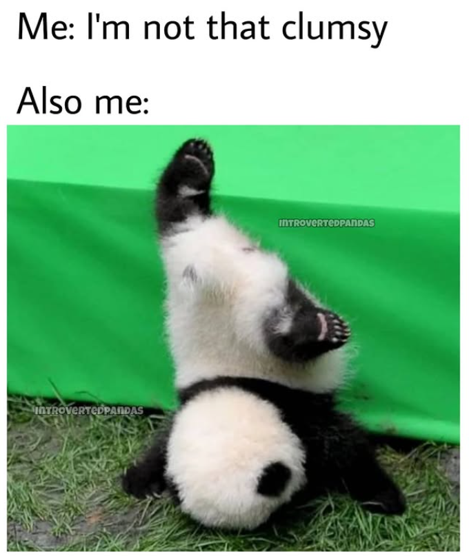 Me: I'm not that clumsy Also me: INTROVERTEDPANDAS INTROVERTEDPANDAS