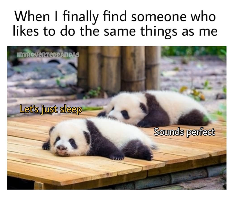 When I finally find someone who likes to do the same things as me INTROVERTEDPANDAS Let's just sleep Sounds perfect