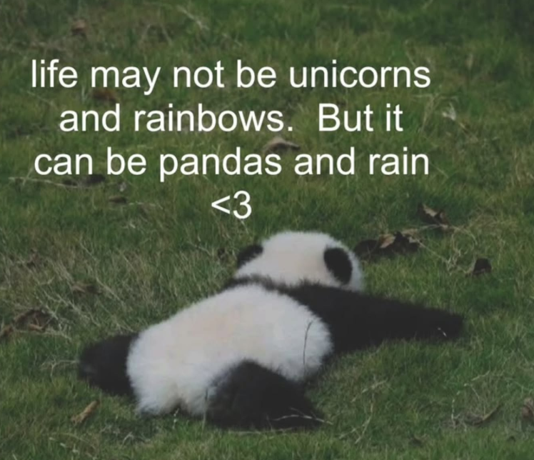 life may not be unicorns and rainbows. But it can be pandas and rain <3