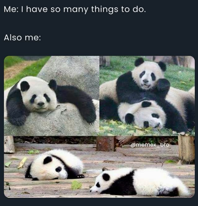 Me: I have so many things to do. Also me: @memex_bro