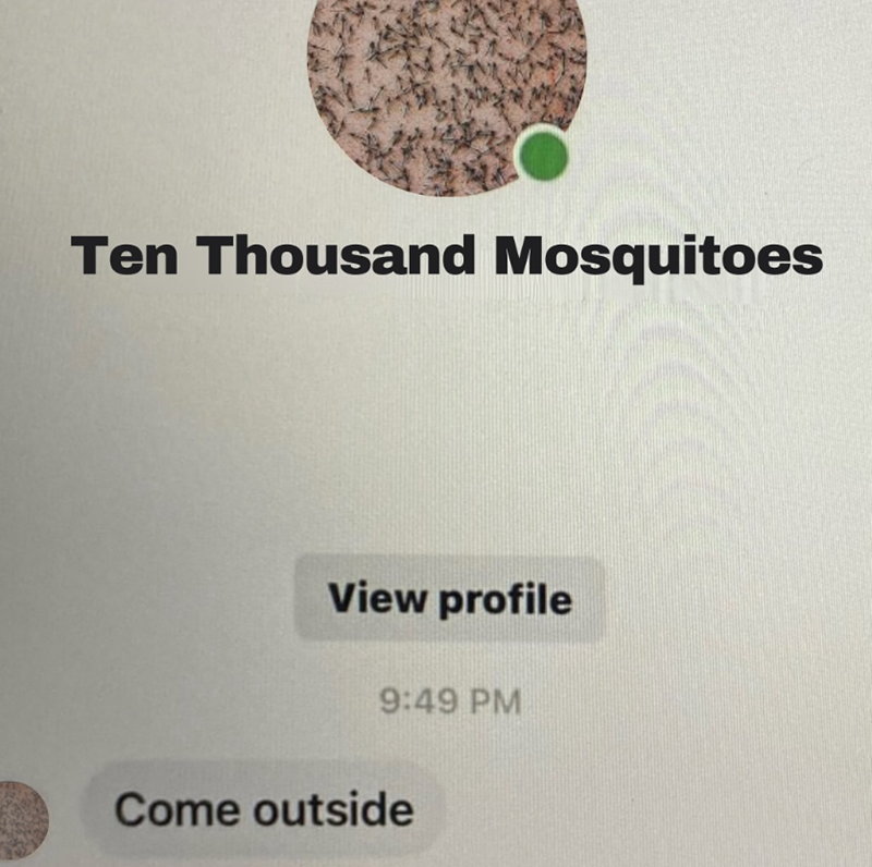 Ten Thousand Mosquitoes View profile 9:49 PM Come outside