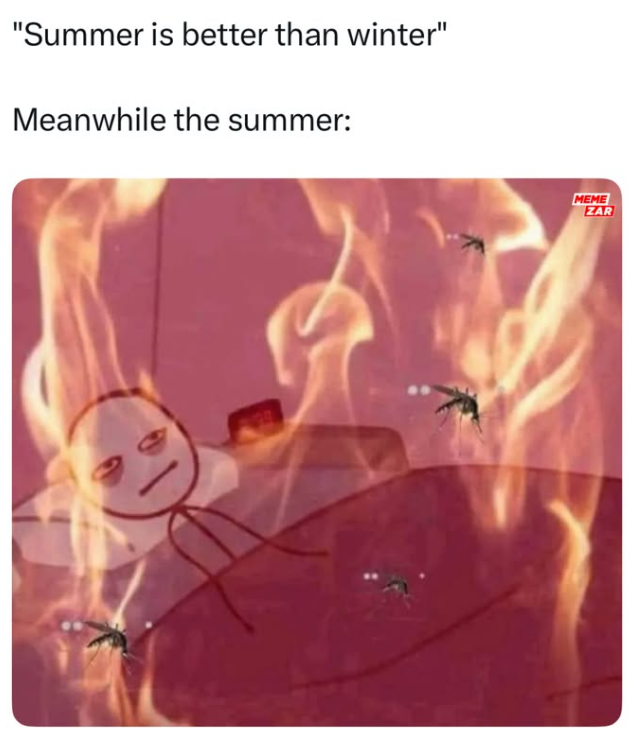 "Summer is better than winter" Meanwhile the summer: MEME ZAR