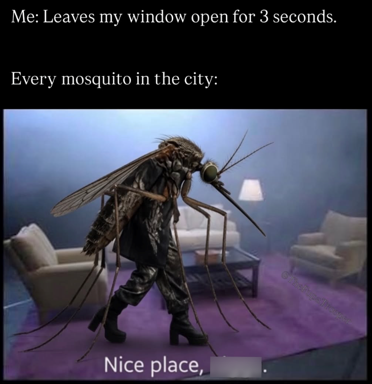 Me: Leaves my window open for 3 seconds. Every mosquito in the city: Nice place, The PupaTrooper