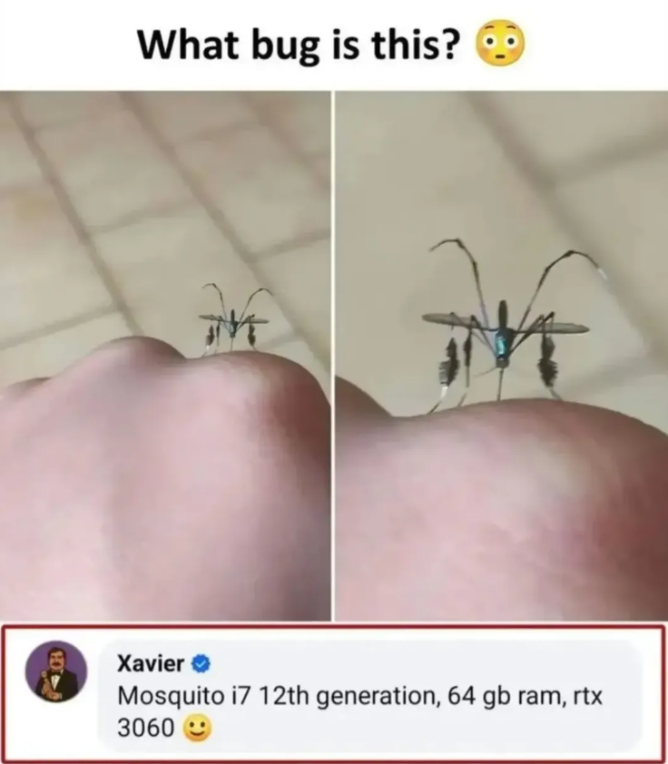 What bug is this? HOT-> M M Xavier ❤ Mosquito i7 12th generation, 64 gb ram, rtx 3060