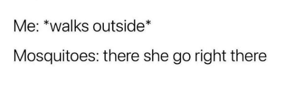 Me: *walks outside* Mosquitoes: there she go right there