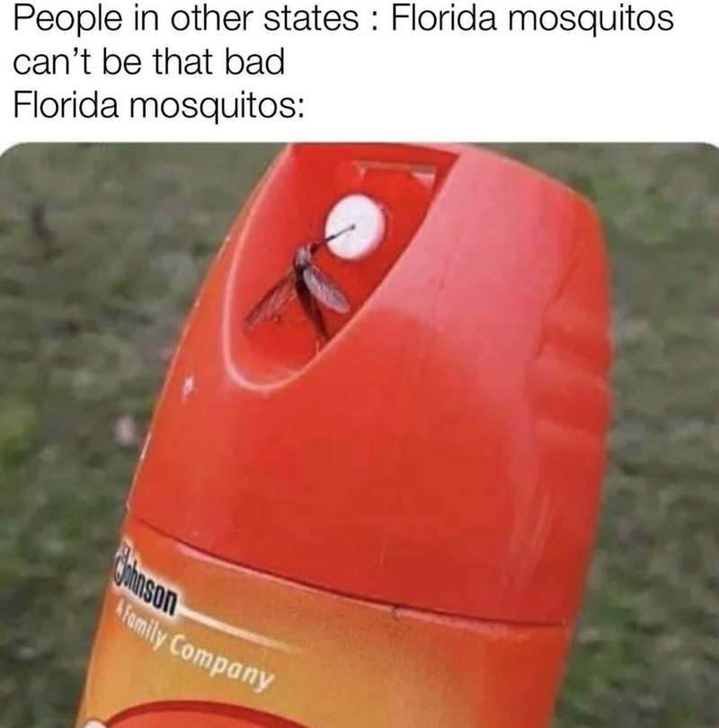 People in other states: Florida mosquitos I can't be that bad Florida mosquitos: Cohnson Family Company