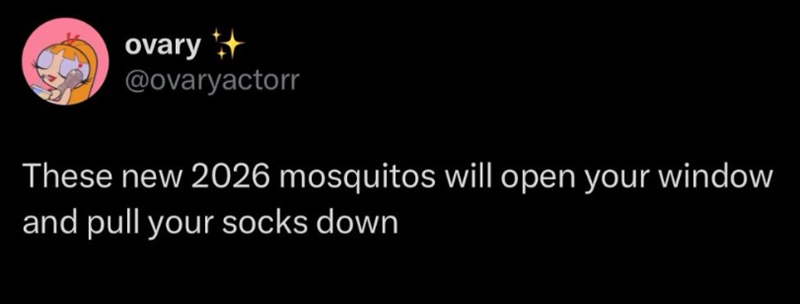 ovary @ovaryactorr These new 2026 mosquitos will open your window and pull your socks down