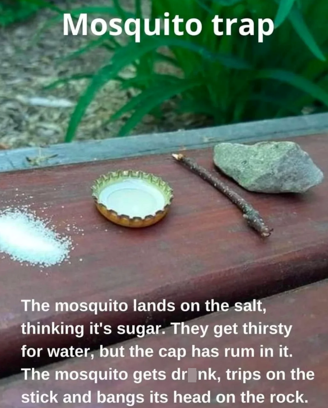 Mosquito trap The mosquito lands on the salt, thinking it's sugar. They get thirsty for water, but the cap has rum in it. The mosquito gets drink, trips on the stick and bangs its head on the rock.