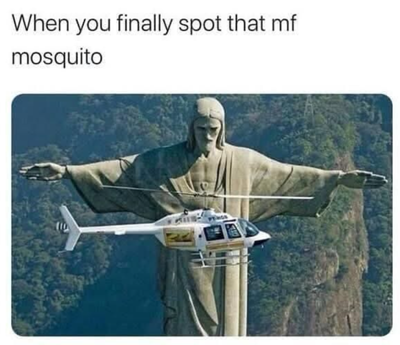 When you finally spot that mf mosquito