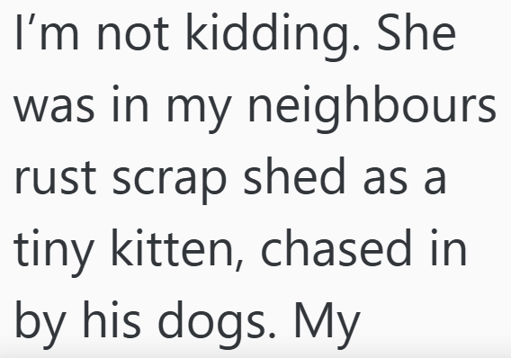 I'm not kidding. She was in my neighbours rust scrap shed as a tiny kitten, chased in by his dogs. My