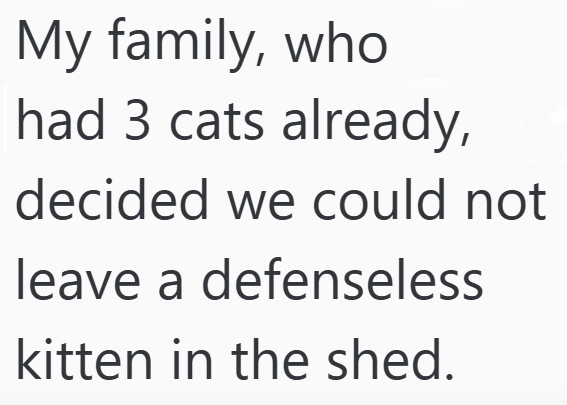 My family, who had 3 cats already, decided we could not leave a defenseless kitten in the shed.