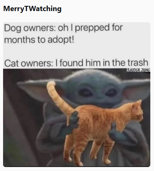 MerryTWatching Dog owners: oh I prepped for months to adopt! Cat owners: I found him in the trash RAIDER JUNS