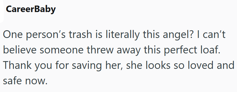 CareerBaby One person's trash is literally this angel? I can't believe someone threw away this perfect loaf. Thank you for saving her, she looks so loved and safe now.