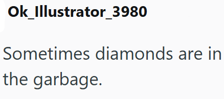Ok_Illustrator_3980 Sometimes diamonds are in the garbage.