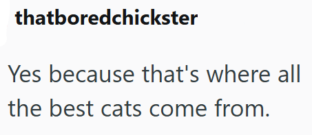 thatboredchickster Yes because that's where all the best cats come from.
