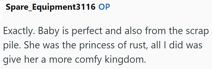 Spare Equipment3116 OP Exactly. Baby is perfect and also from the scrap pile. She was the princess of rust, all I did was give her a more comfy kingdom.