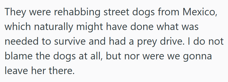 They were rehabbing street dogs from Mexico, which naturally might have done what was needed to survive and had a prey drive. I do not blame the dogs at all, but nor were we gonna leave her there.