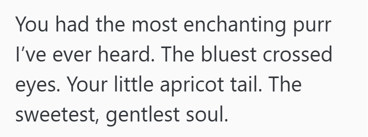 You had the most enchanting purr I've ever heard. The bluest crossed eyes. Your little apricot tail. The sweetest, gentlest soul.