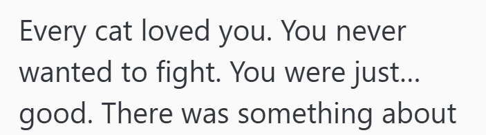 Every cat loved you. You never wanted to fight. You were just... good. There was something about