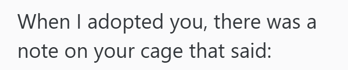 When I adopted you, there was a note on your cage that said: