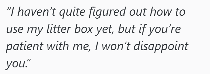"I haven't quite figured out how to use my litter box yet, but if you're patient with me, I won't disappoint you."
