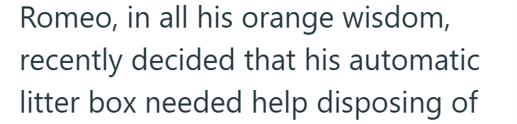 Romeo, in all his orange wisdom, recently decided that his automatic litter box needed help disposing of