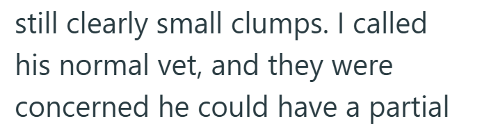 still clearly small clumps. I called his normal vet, and they were concerned he could have a partial