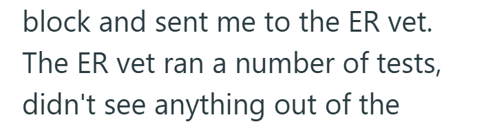 block and sent me to the ER vet. The ER vet ran a number of tests, didn't see anything out of the