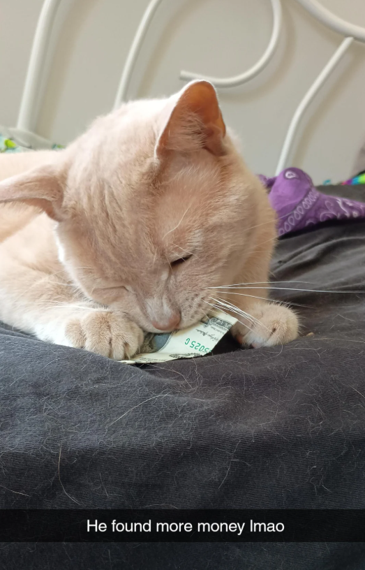 000000000 95205 He found more money Imao