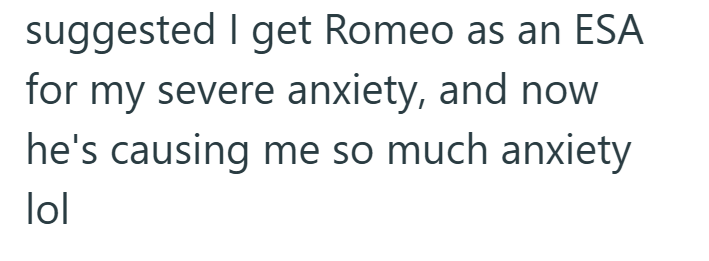 suggested I get Romeo as an ESA for my severe anxiety, and now he's causing me so much anxiety lol